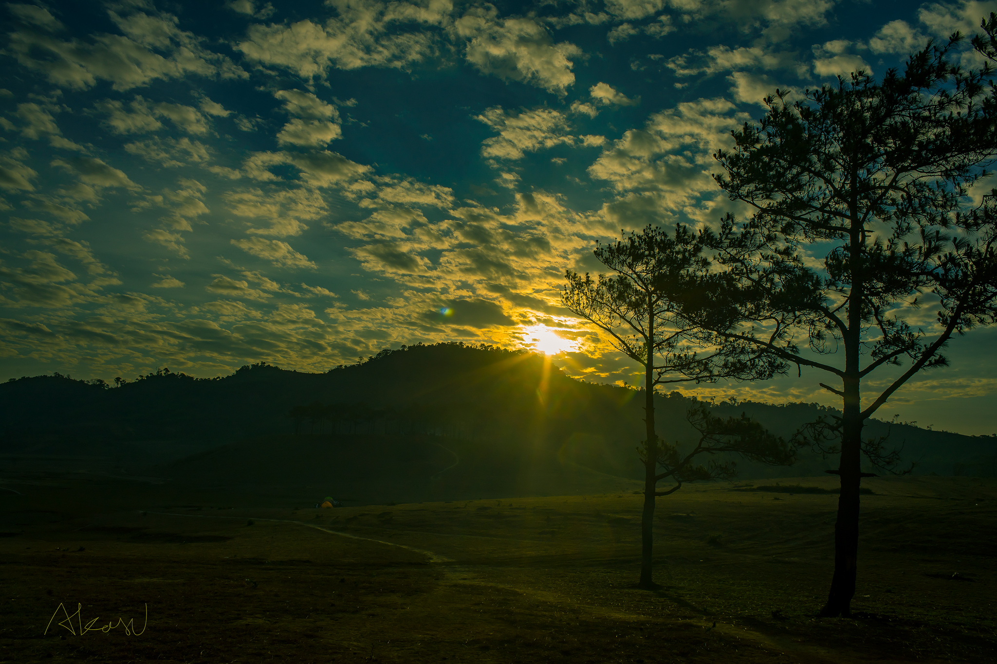 CÓ MỘT LÂM ĐỒNG RẤT LẠ VÀ NÊN THƠ